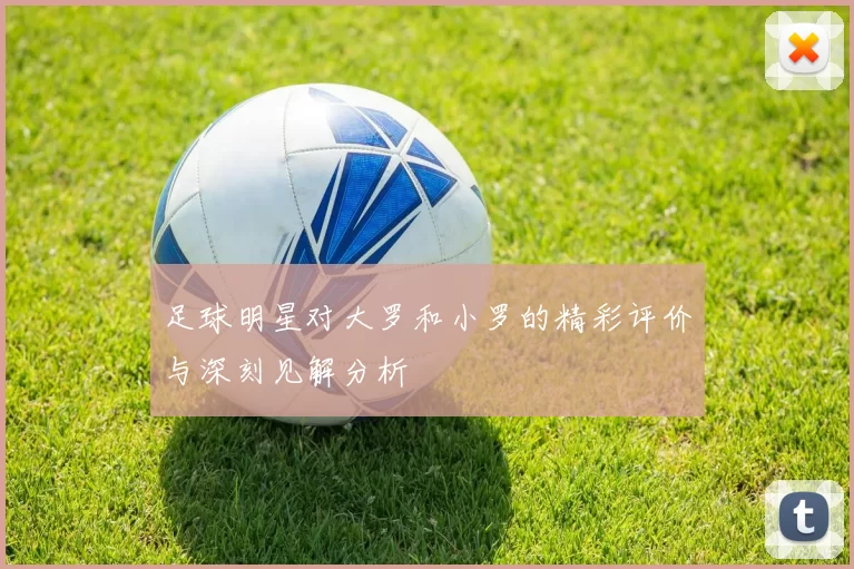 足球明星对大罗和小罗的精彩评价与深刻见解分析