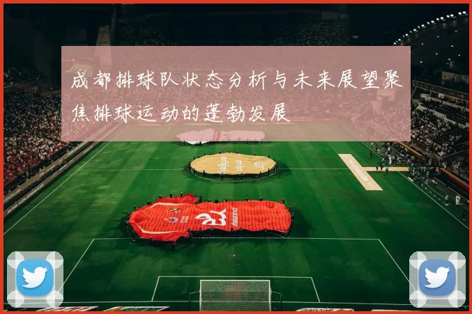 成都排球队状态分析与未来展望聚焦排球运动的蓬勃发展