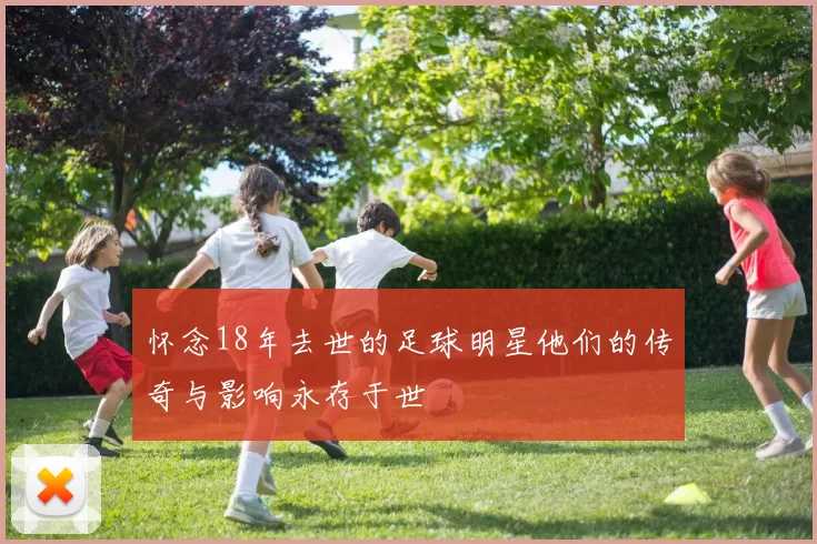 怀念18年去世的足球明星他们的传奇与影响永存于世