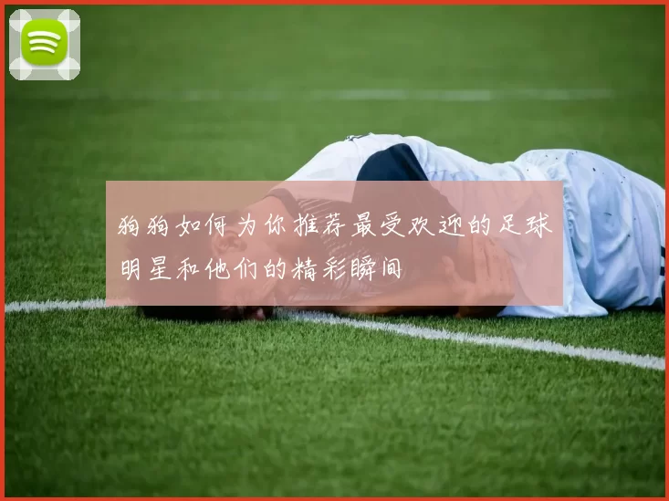 狗狗如何为你推荐最受欢迎的足球明星和他们的精彩瞬间