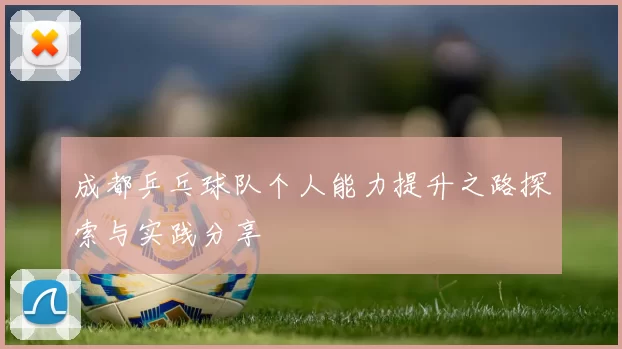 成都乒乓球队个人能力提升之路探索与实践分享