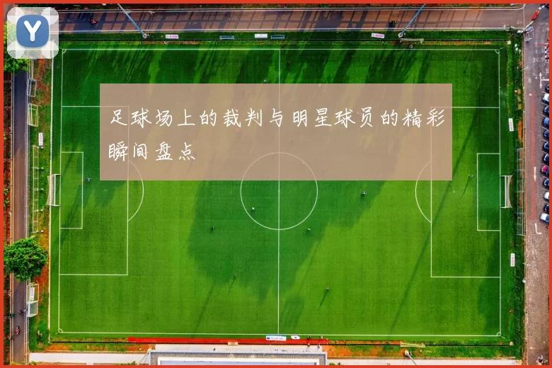 足球场上的裁判与明星球员的精彩瞬间盘点