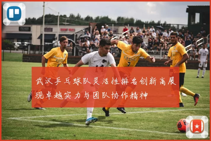 武汉乒乓球队灵活性排名创新高展现卓越实力与团队协作精神