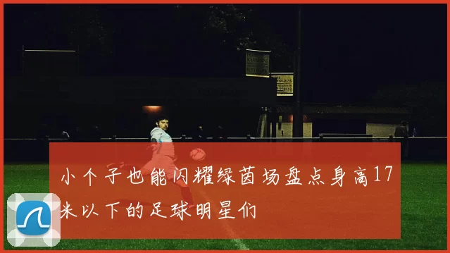 小个子也能闪耀绿茵场盘点身高17米以下的足球明星们