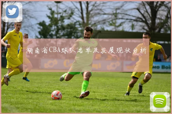 湖南省CBA球队名单及发展现状分析