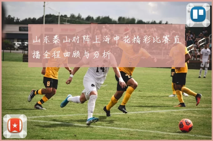山东泰山对阵上海申花精彩比赛直播全程回顾与分析