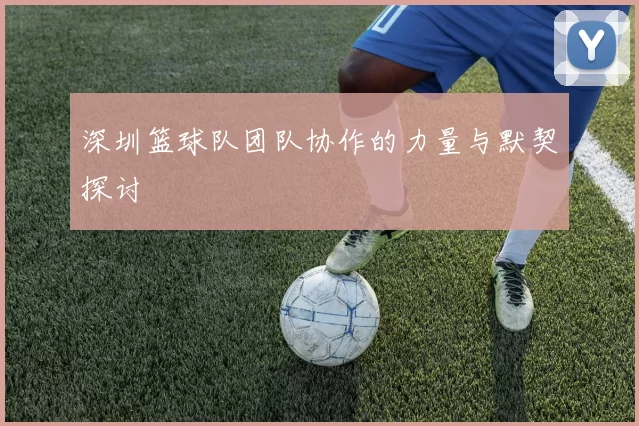 深圳篮球队团队协作的力量与默契探讨