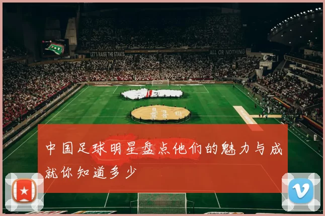 中国足球明星盘点他们的魅力与成就你知道多少