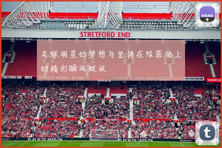 足球明星的梦想与坚持在绿茵场上的精彩瞬间绽放