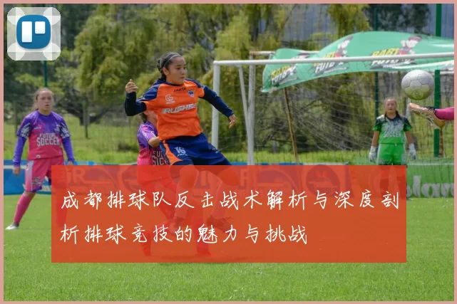 成都排球队反击战术解析与深度剖析排球竞技的魅力与挑战