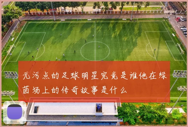 无污点的足球明星究竟是谁他在绿茵场上的传奇故事是什么