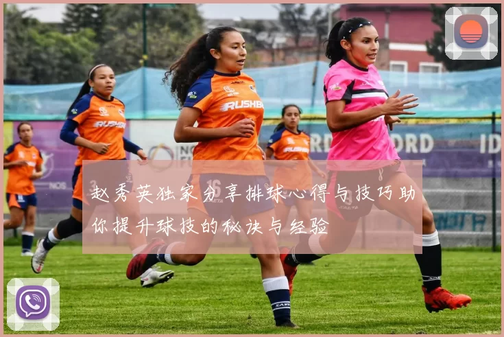 赵秀英独家分享排球心得与技巧助你提升球技的秘诀与经验