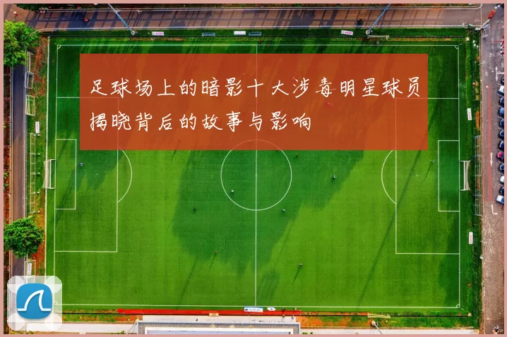 足球场上的暗影十大涉毒明星球员揭晓背后的故事与影响