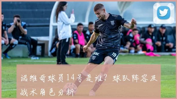 诺维奇球员14号是谁？球队阵容及战术角色分析