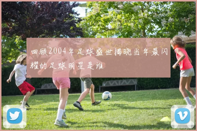 回顾2004年足球盛世揭晓当年最闪耀的足球明星是谁