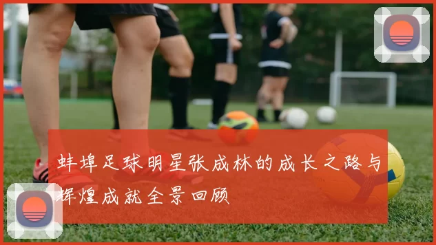 蚌埠足球明星张成林的成长之路与辉煌成就全景回顾