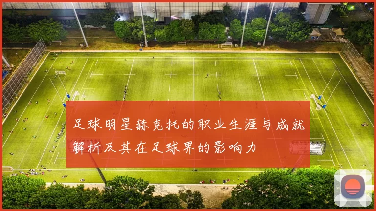 足球明星赫克托的职业生涯与成就解析及其在足球界的影响力