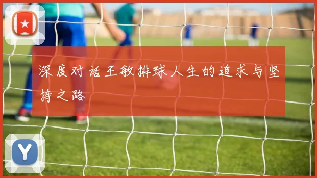 深度对话王敏排球人生的追求与坚持之路