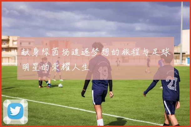 献身绿茵场追逐梦想的旅程与足球明星的荣耀人生