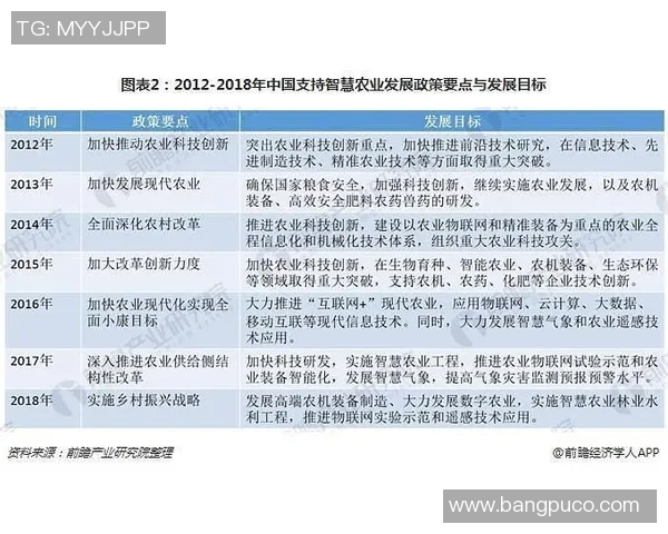 竞技体育的全球发展趋势与未来挑战分析